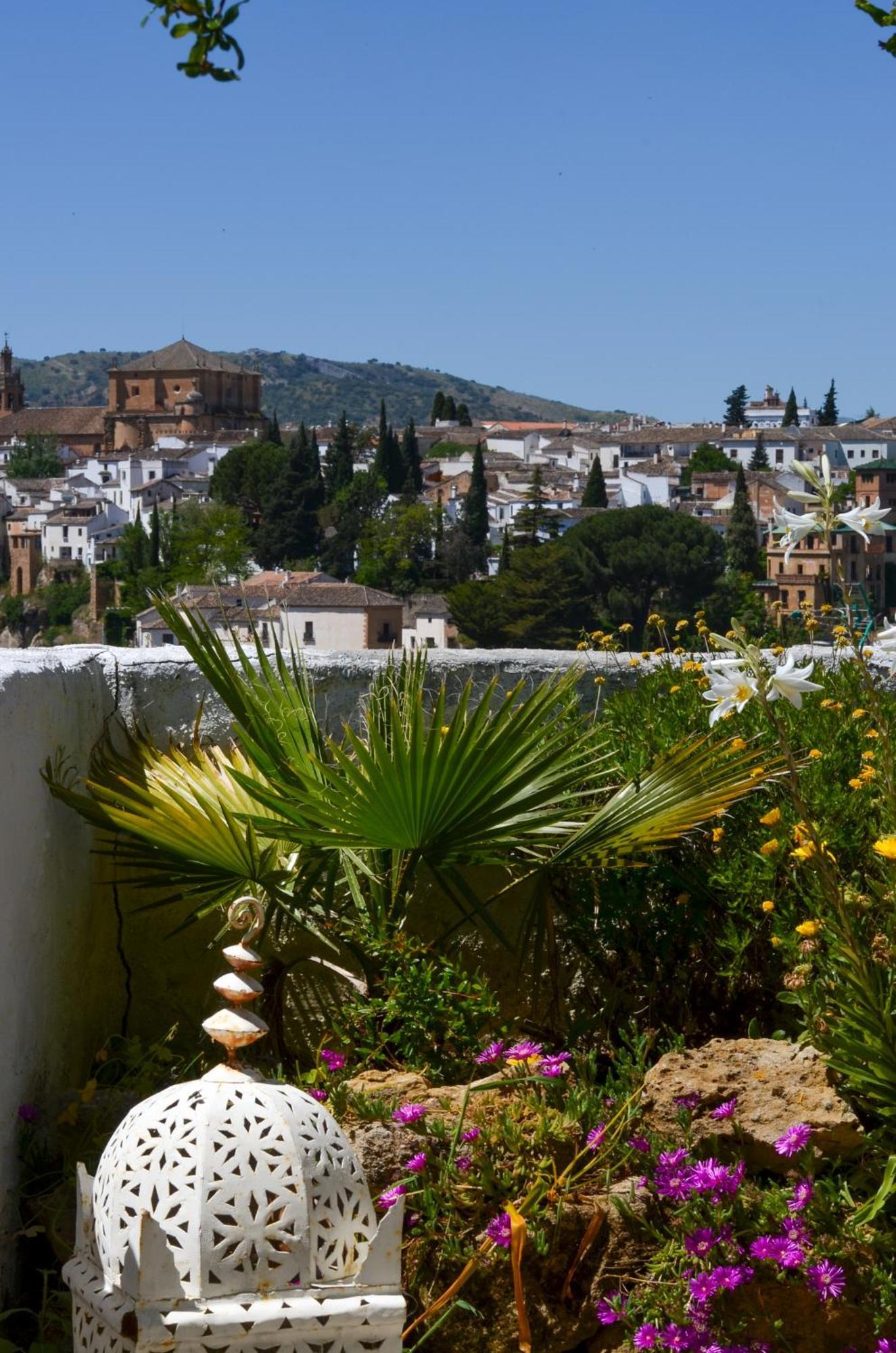 Apartamento +private Garden +amazing View